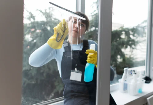 Nettoyage de vitres intérieures et extérieures à Saint-Martin-du-Puy
